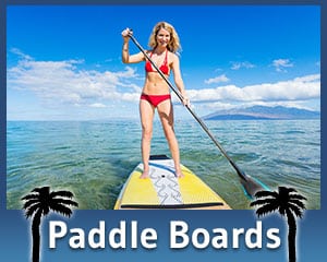 Paddle Board Rentals